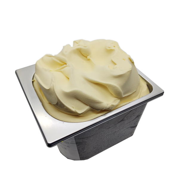 Granel helado de Vainilla Sin Azúcar y Sin Lactosa 2,8 litros