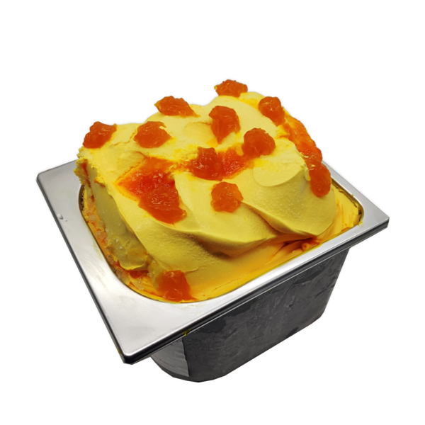 Granel helado de Naranja 2,80 litros